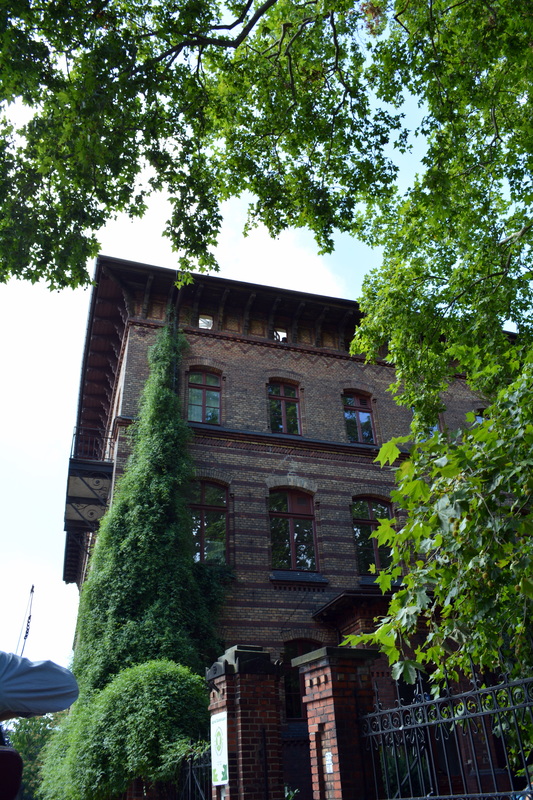 Picture
