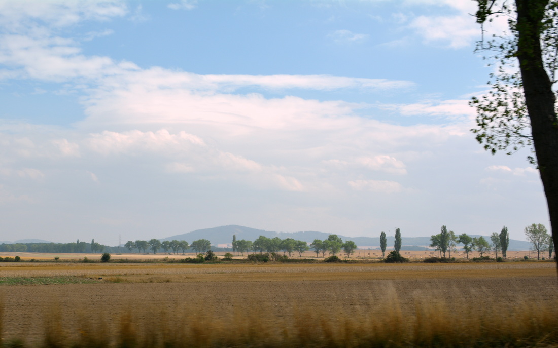 Picture