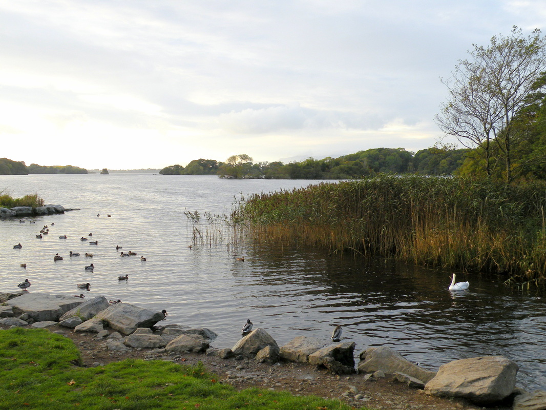 Picture