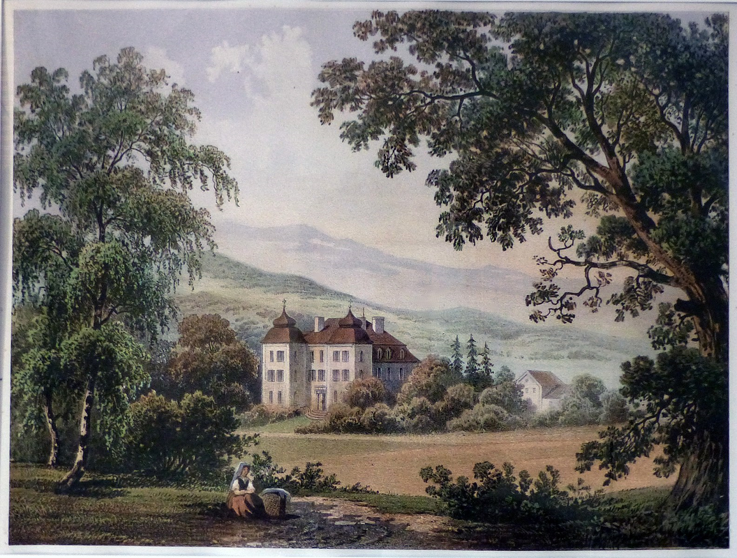 Picture